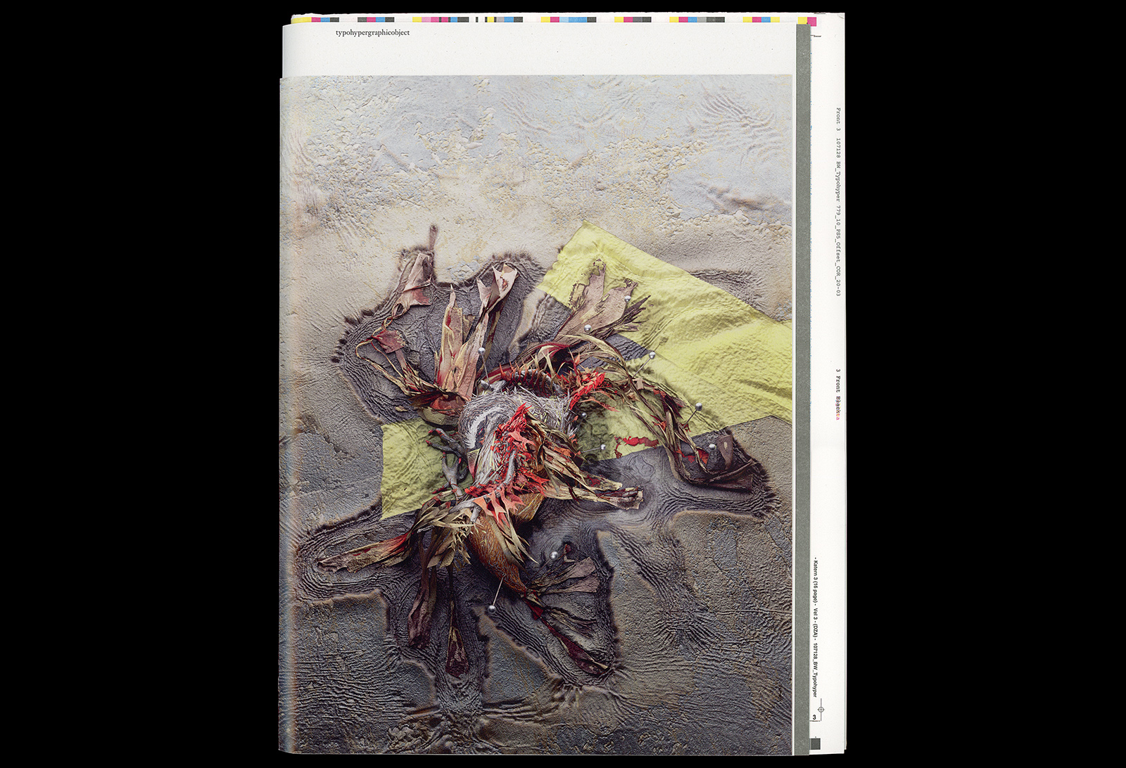 The cover shows one of the book’s protagonists, the Banasura Chilappan, whose declining population is currently estimated to be as low as 530, endemic to southwest India. This number determines the edition size. Book: bird. Art by Sam Rolfes.